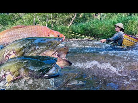 Traditional Fishing Skills - Girl Catches Giant Fish In A Cold, Fast-Flowing Stream