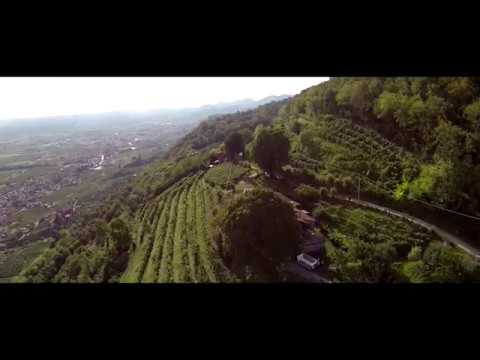 Dal 1984 raccogliamo l'eccellenza