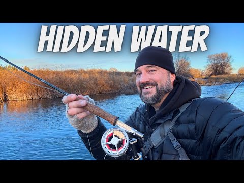 One Last Hour on the Water! Rainbow Trout Fly Fishing