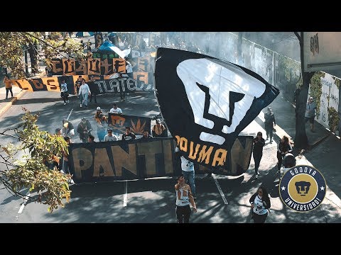 "Marcha 21 anÌƒos La Rebel" Barra: La Rebel &bull; Club: Pumas