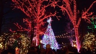 preview picture of video 'Christmas at Silver Dollar City'