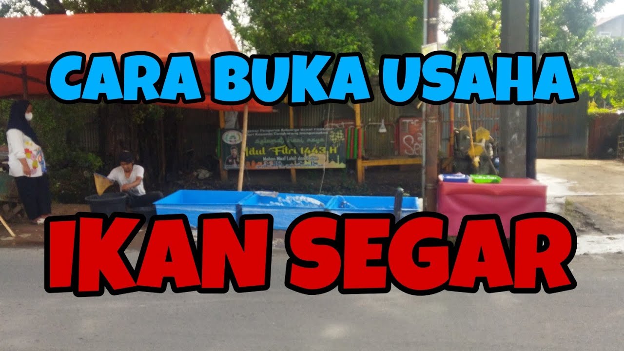 Putar video Belanja Ikan Segar Online Belanja Ikan Segar Online