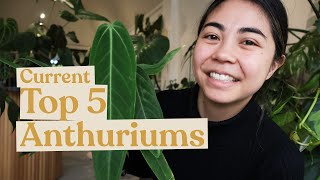 Top 5 Anthurium