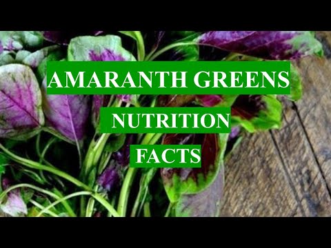 , title : 'AMARANTH GREENS - HEALTH BENEFITS AND NUTRIENTS FACTS'