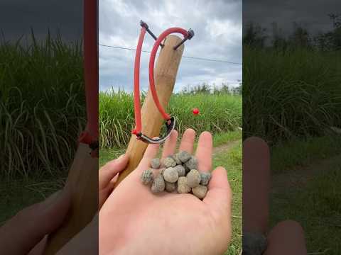 Fork Slingshot Diy #handmade #diy #amazing #craft