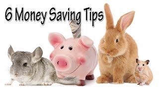 Tips For Saving Money with Small Pets