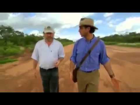 Palmyra - die vergessene Stadt - Entdeckungen aus dem Weltall (DOKU)