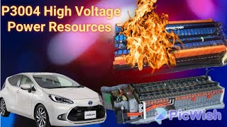 P3004 High Voltage Power Resources