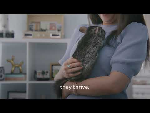 Field + Forest by Kaytee