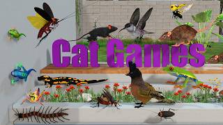 Download lagu 24/7 Cat Entertainment 🐱 | Fast Mice, Fluttering Bugs & Backyard Birds | Cat TV mp3