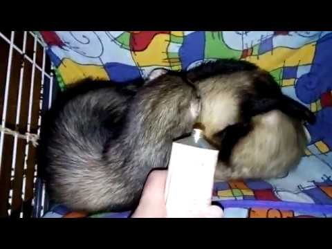 9 Мая.Кому привезла вкусную пасту?!Что делала днем?!