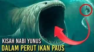 Download lagu Kisah Nabi Yunus Yang Dilempar Ke Laut Dan ditelan Ikan Paus mp3 Download lagu Kisah Nabi Yunus Yang Dilempar Ke Laut Dan ditelan Ikan Paus mp3
