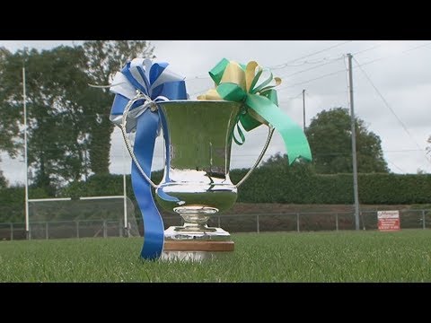 McElvaney's Waste & Recycling IFC Final 2017