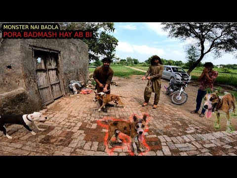 monster Say Hui mulakat 3 month bad / Kia Reaction  Diya Monster ny??