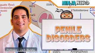Penile Disorders | Clinical Medicine