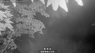 雲場池