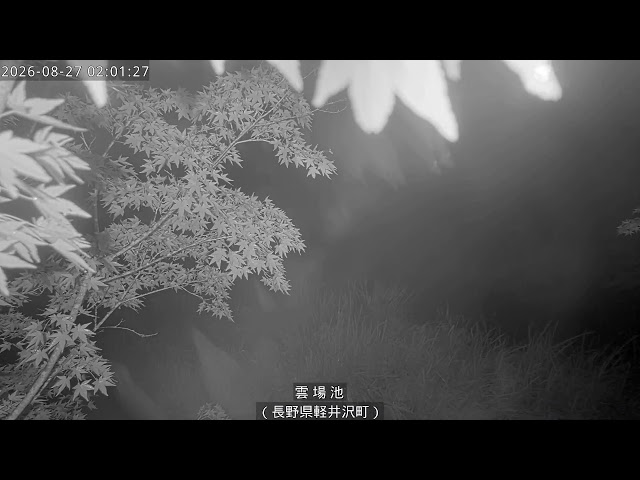 雲場池