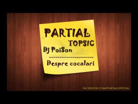 Antidot & Slym feat. Topsic & Dj PoiSon - Despre cocalari
