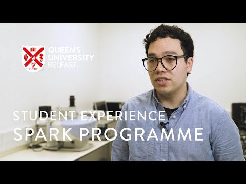 Early Stage Researcher | Alvaro Carcamo Martinez