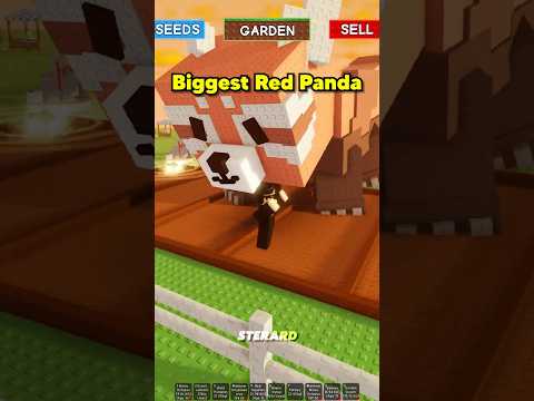 Biggest Red Panda #growagarden #roblox