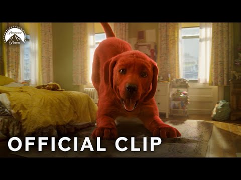 Thumbnail of the video: What Happened to Our Dog?!