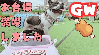 肉フェスに初めて行ってみた🍖　"I tried going to a meat festival for the first time! "