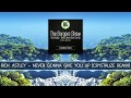 Rick Astley - Never Gonna Give You Up (Crystalize ...