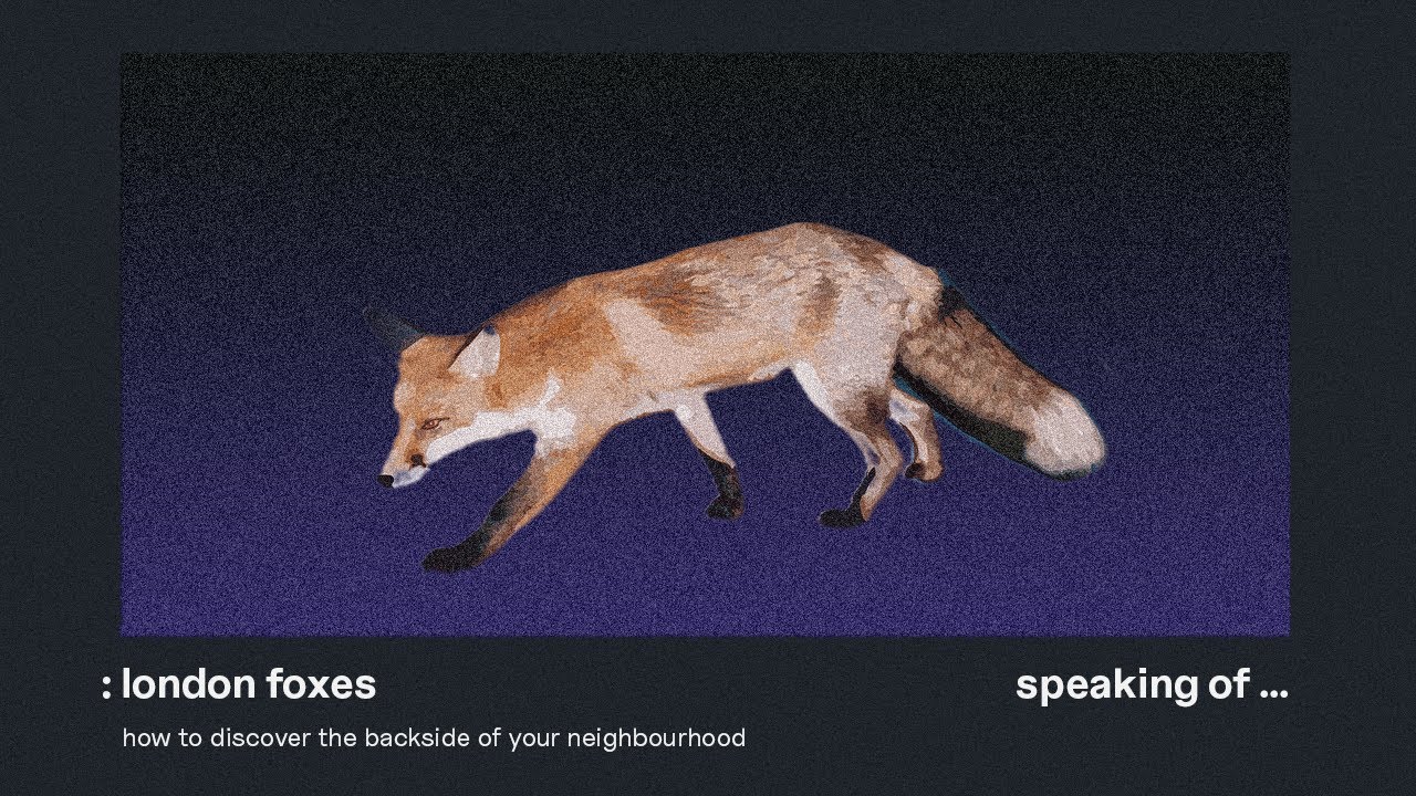 when you decide to follow a fox in London.
