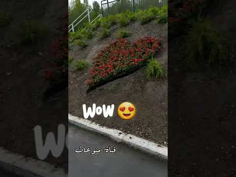 التنزه في شوارع Brandbu/ Norge حيث الطبيعة الجميلة😍❤