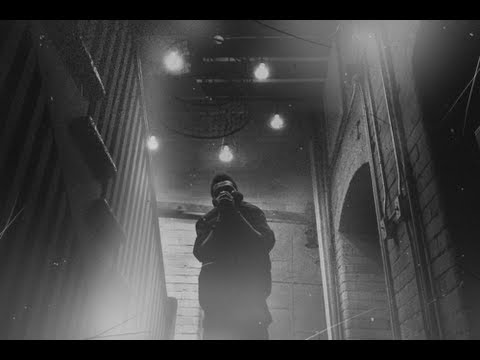The Birds Part 1 (The Weeknd) MSVideo