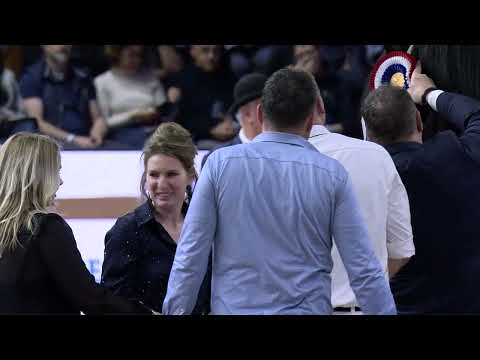 HK2025 | Kampioenskeuring jongere hengsten