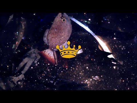 L'Impératrice — SLOW ODYSSÉE ( = The Emperor ! )