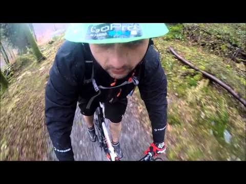 COED Y BRENIN MARCH 2015