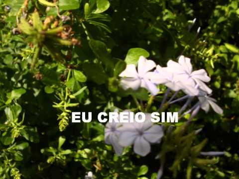 Creio Sim - Regis Danese