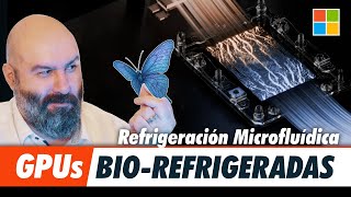 Refrigeración Microfluídica: Mariposas al rescate de la IA