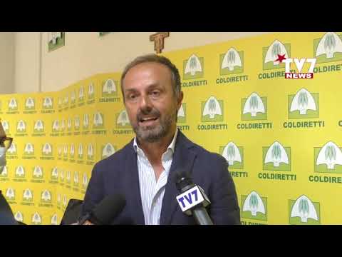 FILIERA PASTA: COLDIRETTI, CON RUMMO OBIETTIVO 100% GRANO SANNITA SUCCESSO PER PRIMO RACCOLTO