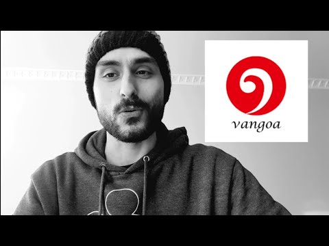 Vangoa's Banjolele - Is It Worth The Hype?