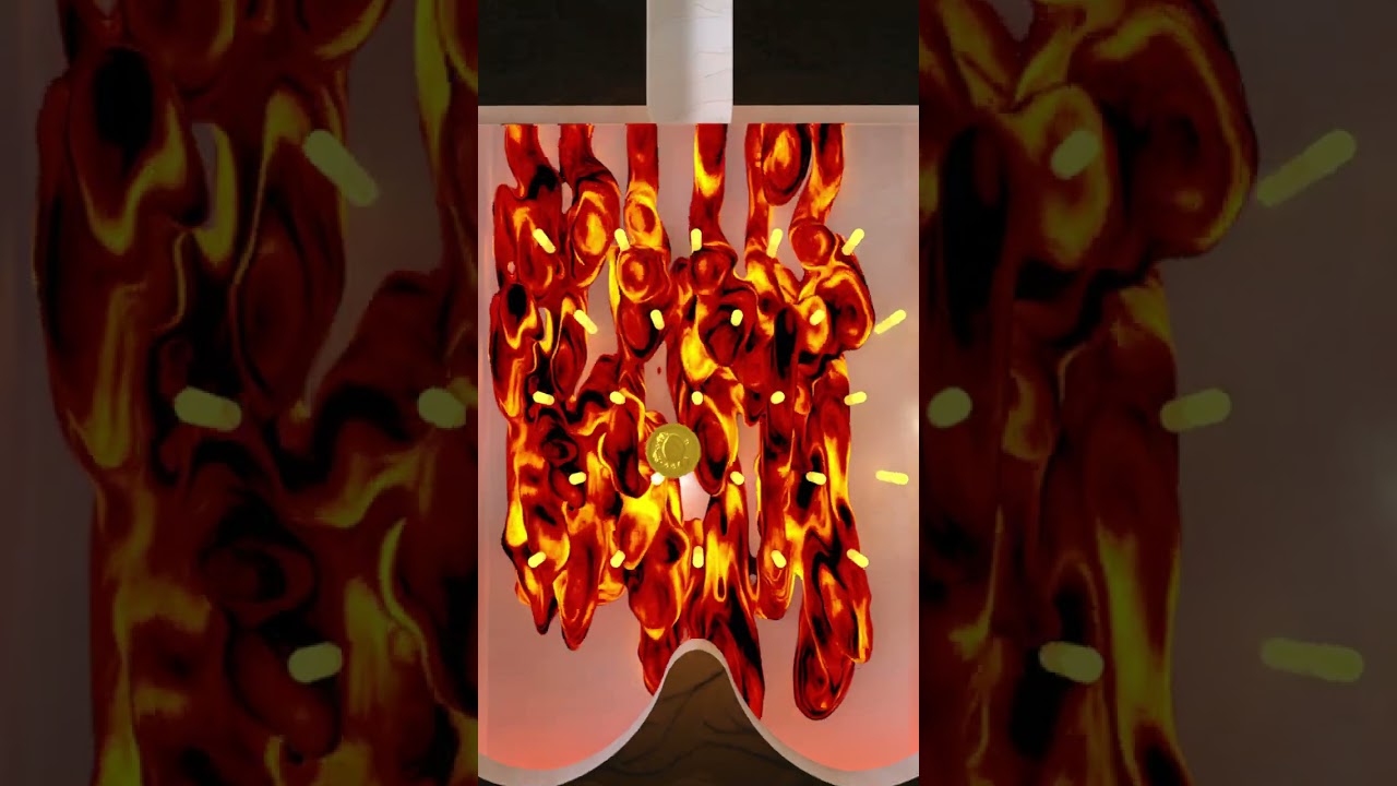 Watch the coin’s rhythmic ride through the fiery chicken loop! 🔥🍗🎶