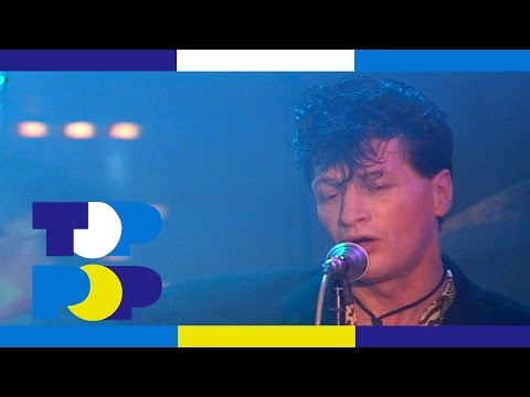 Herman Brood - Sleepin' Bird • TopPop