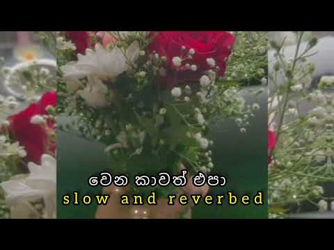 Wena kawat epa_වෙන කාවත් එපා හුස්ම වැටෙනා තුරා (slow and reverbed )