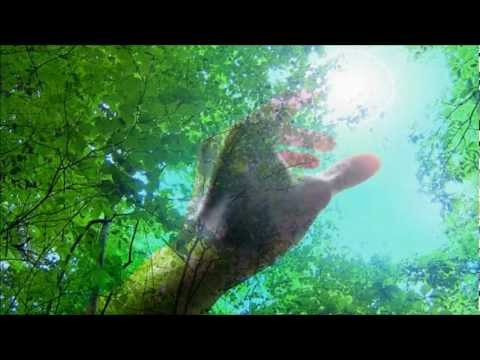 Yoko Suzy - vision (demo)