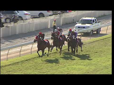 306 - La Coupe des Présidents 2019