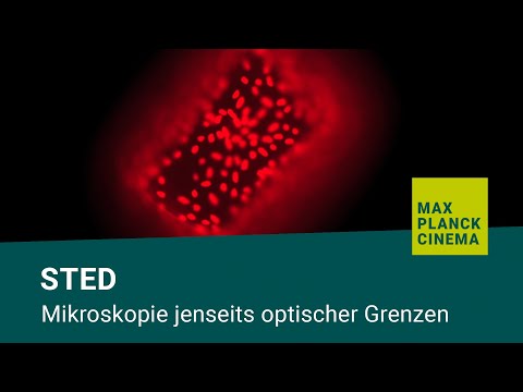 STED - Mikroskopie jenseits optischer Grenzen