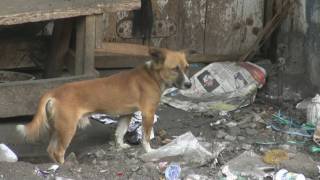 Leo Aberer - Wake up