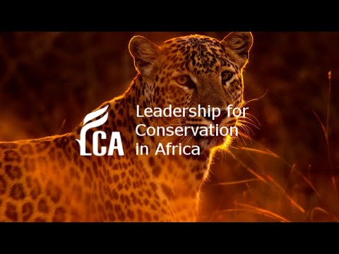 Leopards and the rise of citizen science with Lex Hes