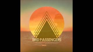 Bird Passengers - Afterglow  (Instrumental)