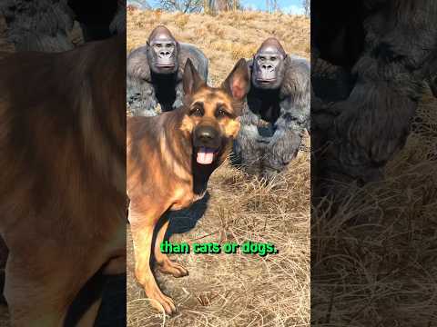 The BEST Animal for Your Settlements in Fallout 4