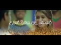 The Birthday Song Centigradz Lyrics Video