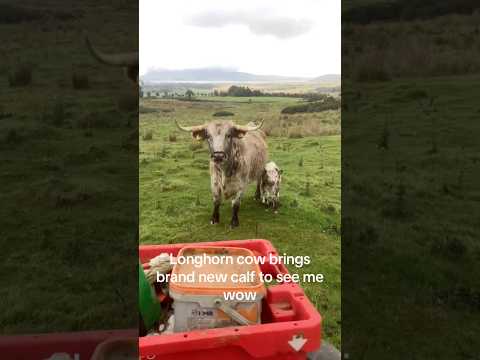 When an animal takes you to meet her young, that's 100% trust🥹🥰#animals #trust #cute #love