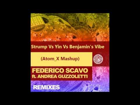 Yin Vs Strump Vs Benjamin's Vibe (Atom_X Mashup) - Wolfgang Gartner Vs Federico Scavo